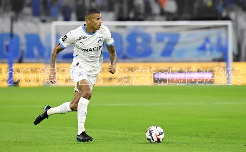 杏运娱乐官网在线登录